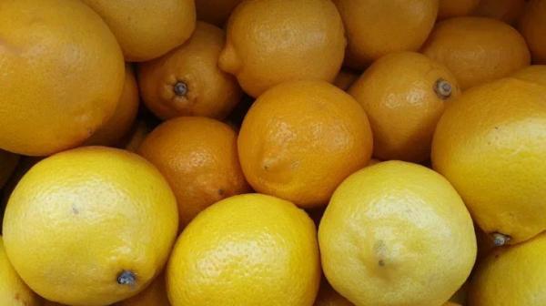 Что произойдет с организмом, если начать пить воду с лимоном каждый день: 6 основных изменений – с чем можно есть лимон