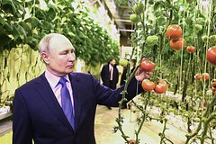 «Со всех сторон душат» Путин назвал экономику России первой в Европе. И объяснил, почему подорожали яйца