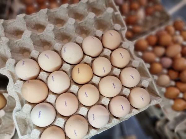В каком виде полезнее есть яйца: жареные или вареные